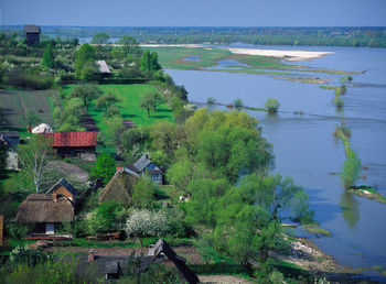 High angle view of tree of field in village by river