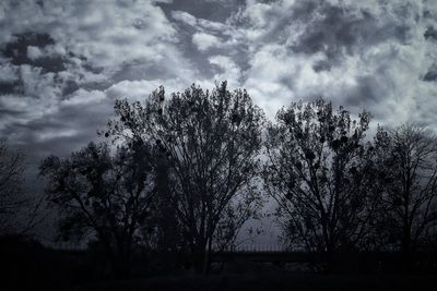 Silhouette bare trees in forest against sky