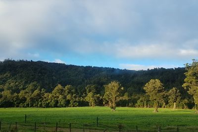 Scenic view of green field and mountains against sky