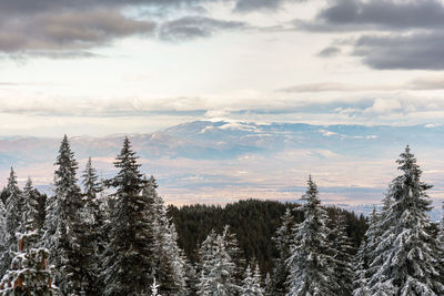 Winter landscape of the mountain.