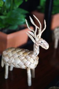 Close-up of a lizard on wooden table