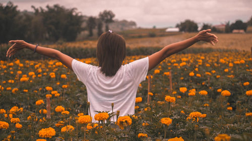 Rear view of woman standing amidst yellow flowering plants on field