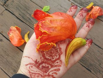 High angle view of hand holding orange flower