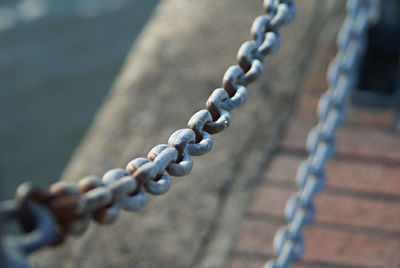 Close-up of rope on wood