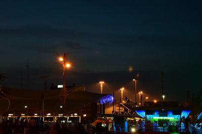 Illuminated ferris wheel in city at night