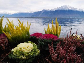 Scenic view of lake against cloudy sky