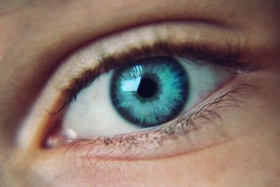 Extreme close up of human eye