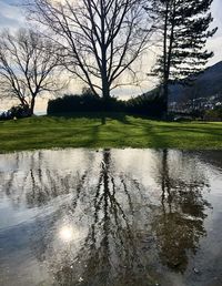 Reflection of bare trees in lake against sky