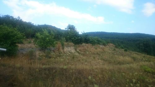 Scenic view of landscape against cloudy sky