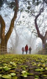 Rear view of couple standing on tree