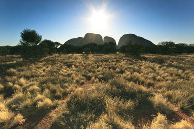 Silhouette kata tjuta rock formations on field against clear blue sky during sunny day