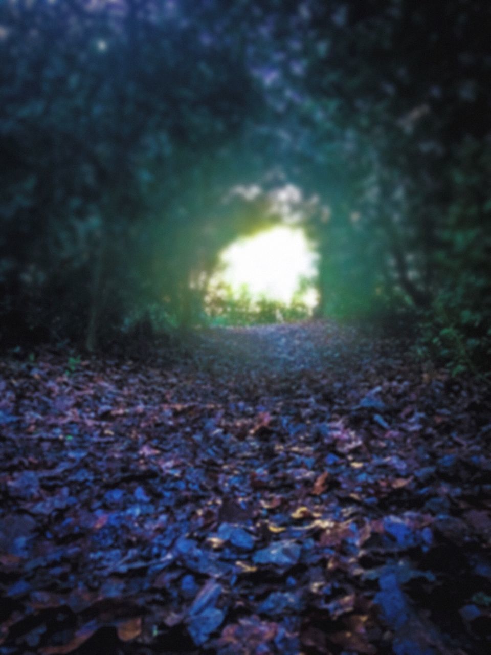 VIEW OF SUNLIGHT FALLING ON LAND