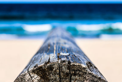Close-up of log on beach against sky