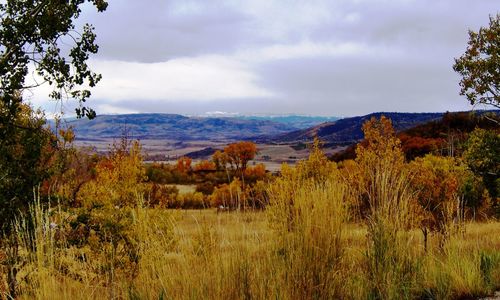 Scenic view of landscape against sky