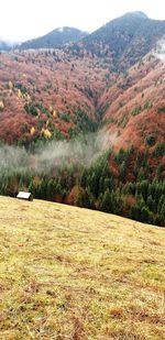 Scenic view of landscape