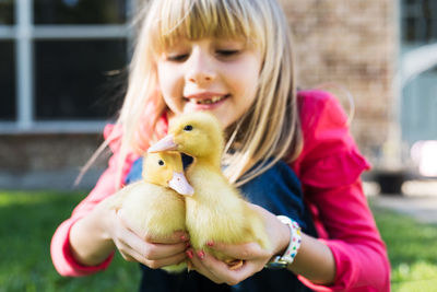 Close-up of girl carrying baby chickens on field