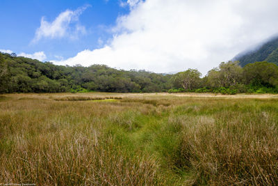 Scenic view of landscape against cloudy sky