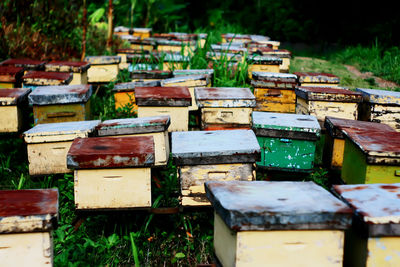 Beehives on field