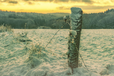 Snow on field against sky during winter