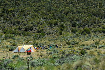 Camping at lake ellis, mount kenya national park
