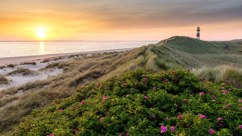 Scenic view of sea against sky during sunset