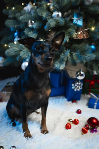 christmas tree