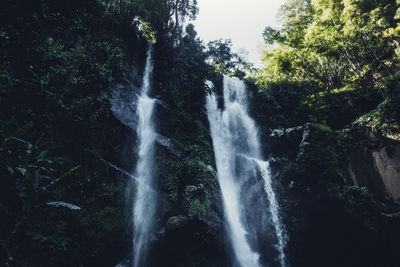 Low angle view of waterfall in forest