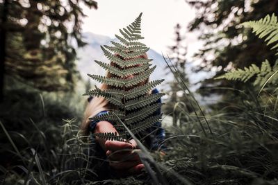 Woman holding ferns