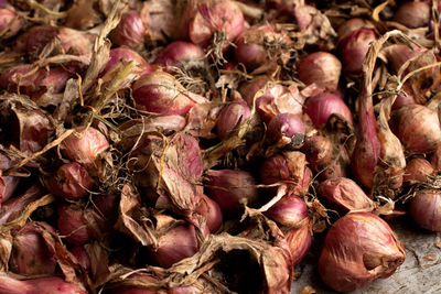 Full frame shot of onions for sale