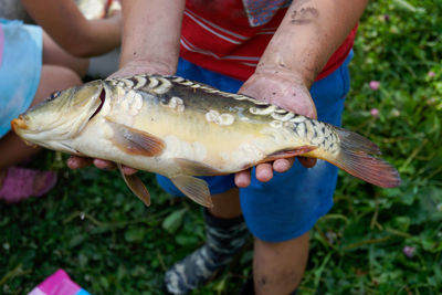 Midsection of person holding fish