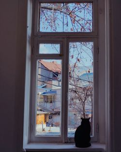 window