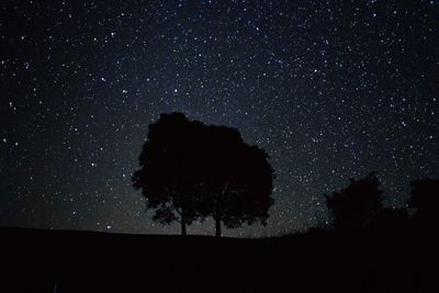 Low angle view of silhouette trees against sky at night