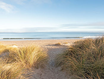 beach