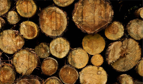 Full frame shot of logs