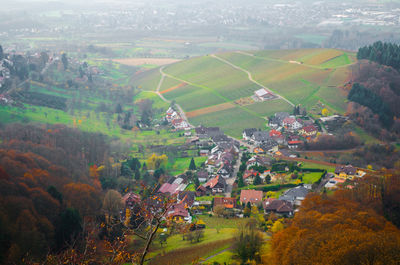 High angle view of trees and houses on field