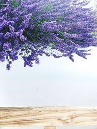 Close-up of flower tree against sky
