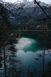 Scenic view of river in forest against sky