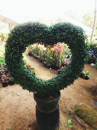 High angle view of potted plants in garden