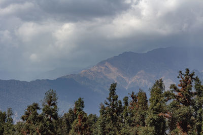 Scenic view of trees and mountains against sky