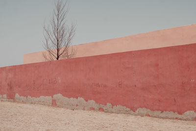 Pink graded wall with a bricked bare tree on a sandy empty road