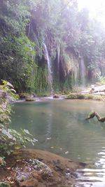 Scenic view of waterfall in forest