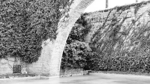 Road by trees on snow covered land