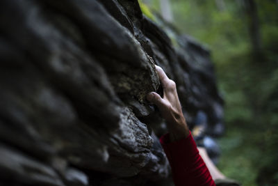 Close-up of cropped hand gripping on rock while bouldering in forest