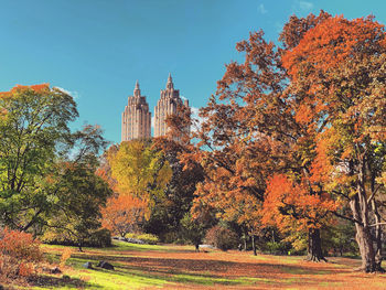 Trees and buildings against sky during autumn at central park new york city