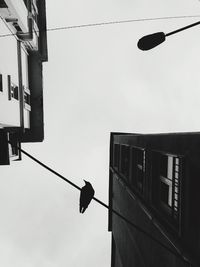 Low angle view of building