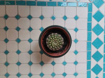 High angle view of drink on tiled floor