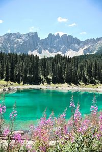 Scenic view of lake and mountains against sky