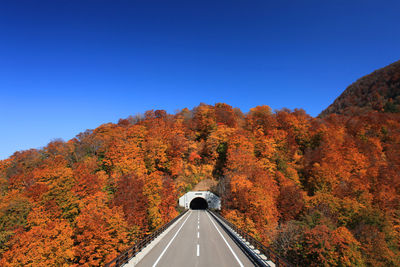 Road amidst trees against clear blue sky during autumn