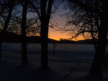 Silhouette bare trees on landscape against sky during sunset