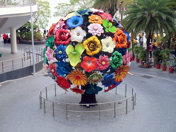 Multi colored flowers